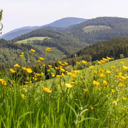 Andre Et Viviane Chatelard - D'hotes Gasthuis 3*