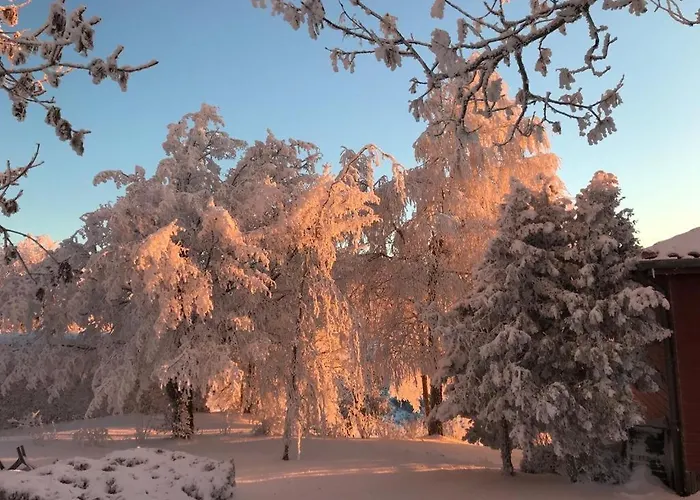 Andre Et Viviane Chatelard - D'hotes 3* Saint-Bonnet-le-Froid